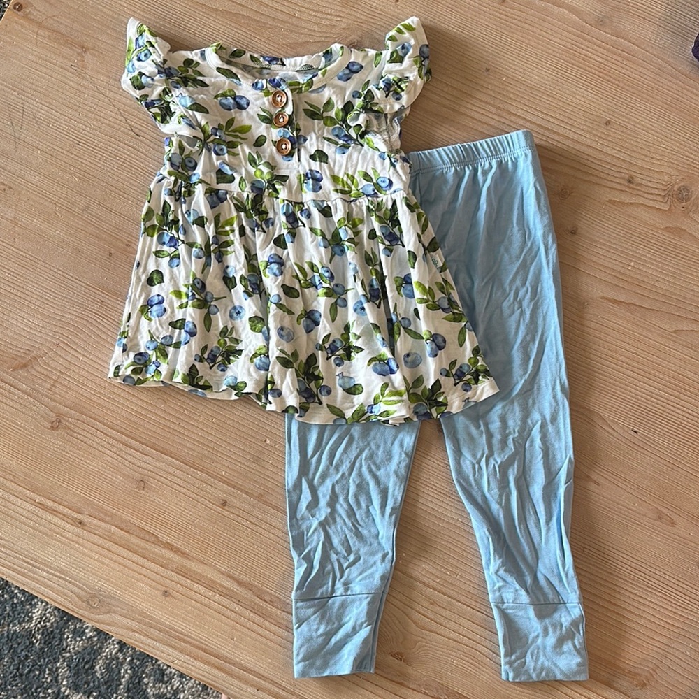 Posh Peanut Carolina Size 3T Top and Leggings Set